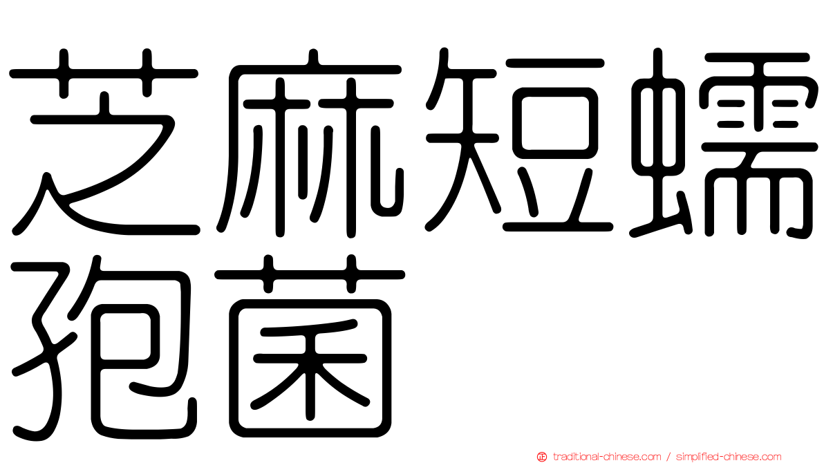 芝麻短蠕孢菌