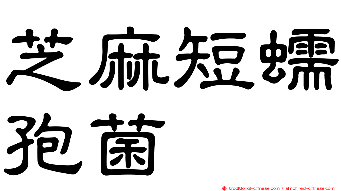 芝麻短蠕孢菌