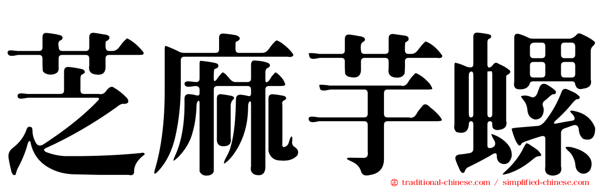 芝麻芋螺