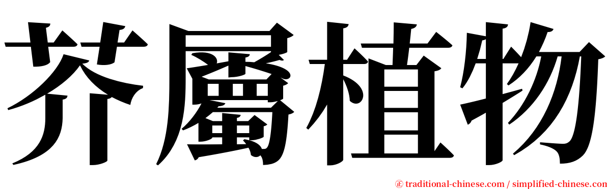 芥屬植物 serif font