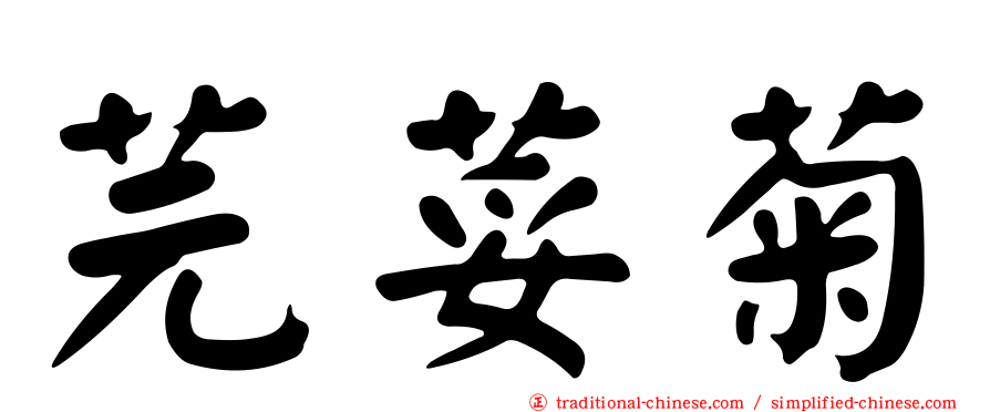 芫荽菊