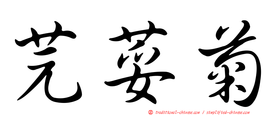 芫荽菊