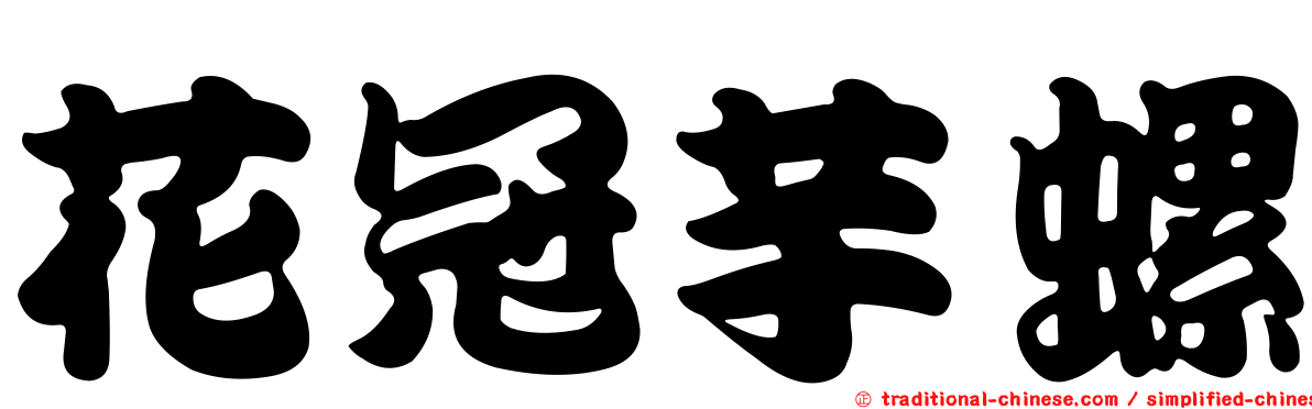 花冠芋螺