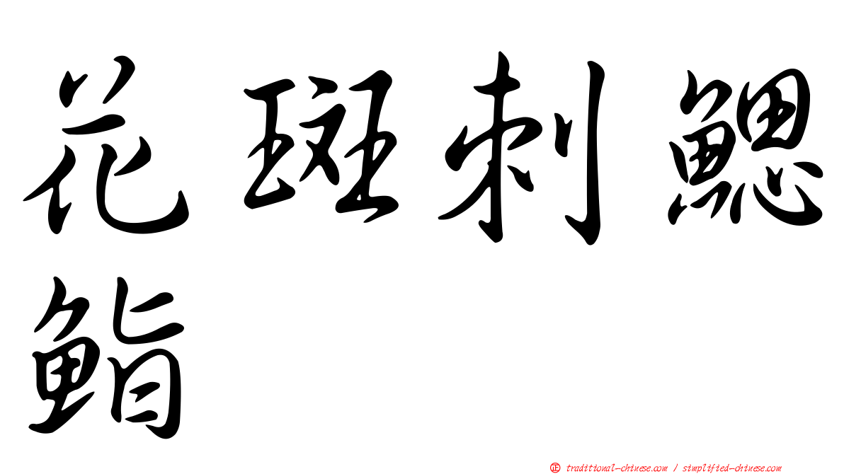 花斑刺鰓鮨