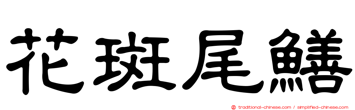花斑尾鱔