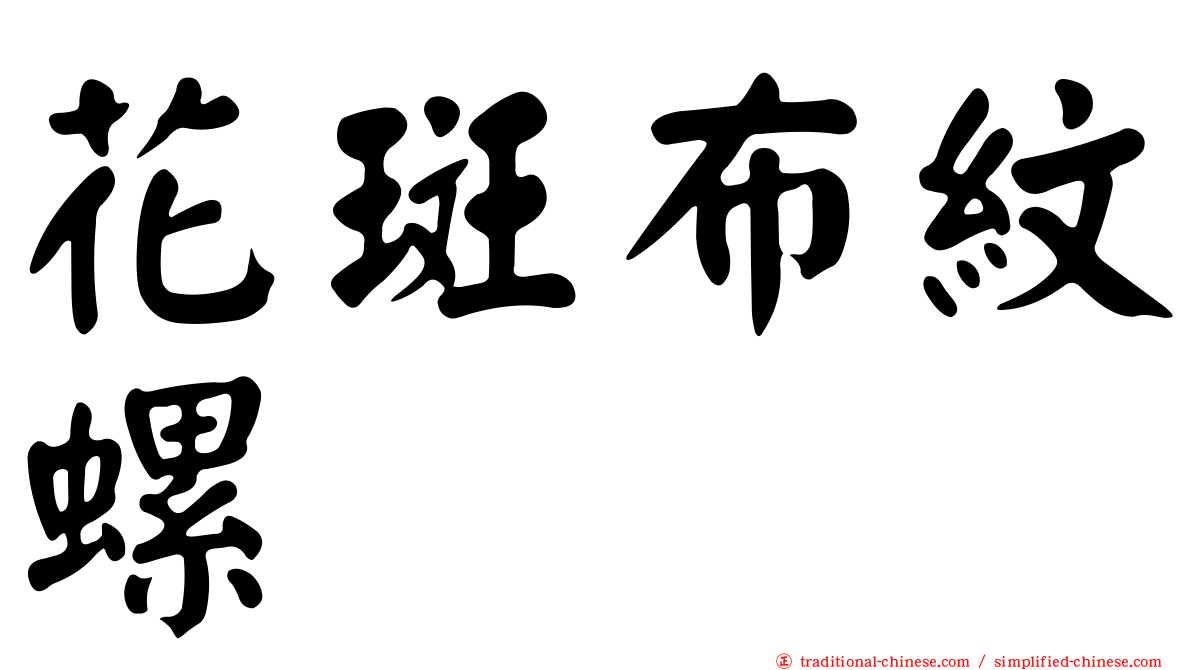花斑布紋螺