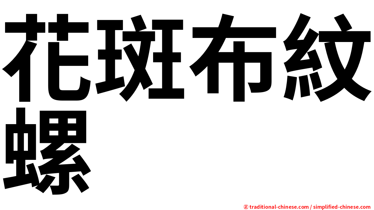 花斑布紋螺