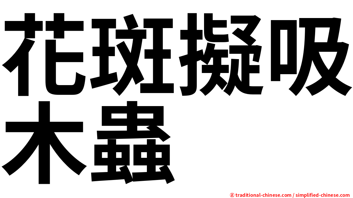 花斑擬吸木蟲