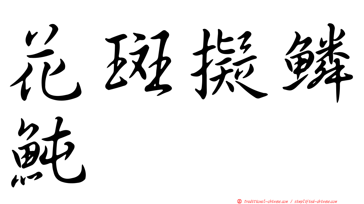 花斑擬鱗魨
