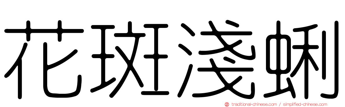 花斑淺蜊