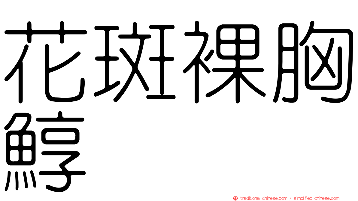 花斑裸胸鯙