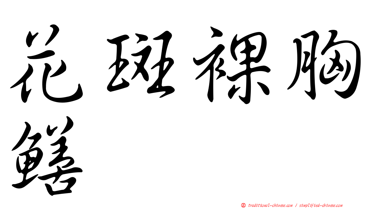 花斑裸胸鱔