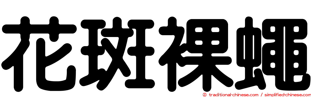 花斑裸蠅