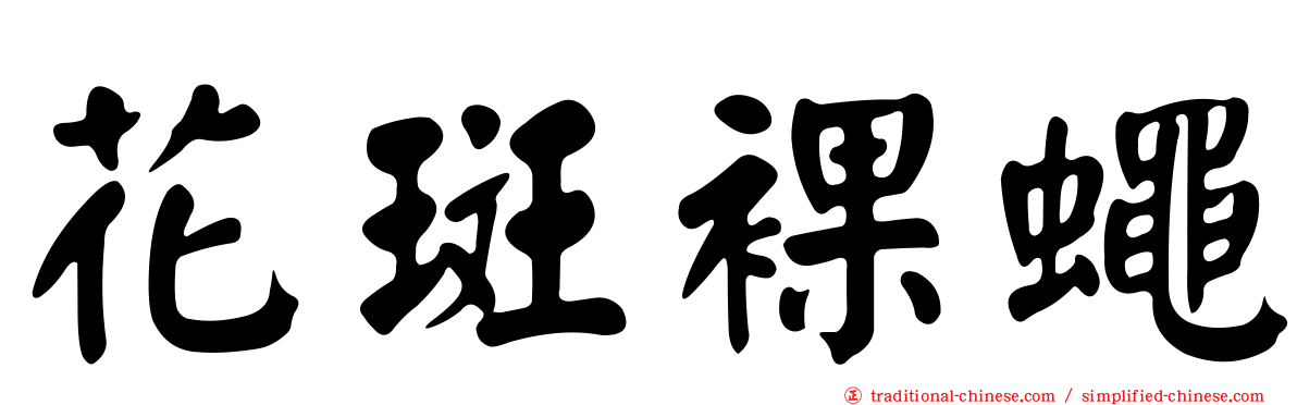花斑裸蠅