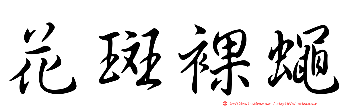 花斑裸蠅