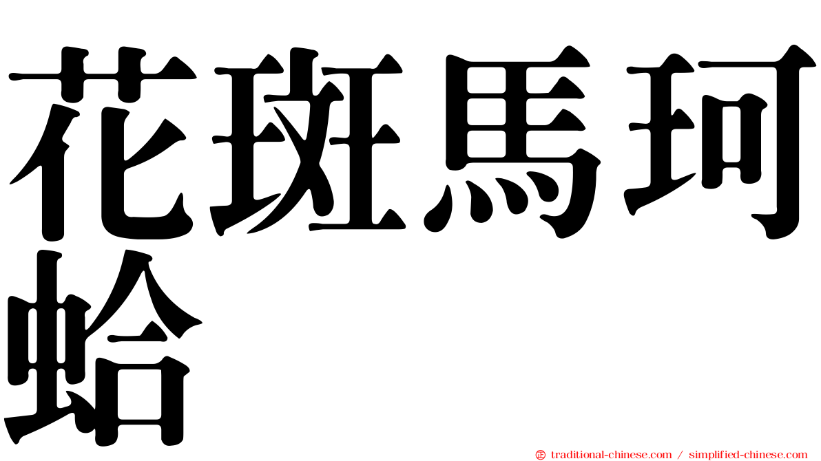 花斑馬珂蛤