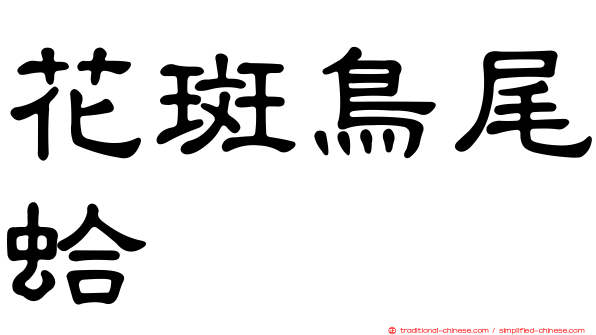 花斑鳥尾蛤