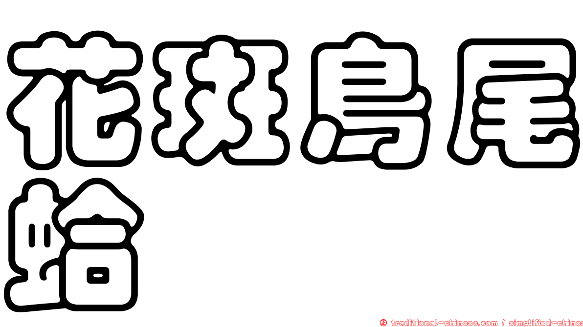 花斑鳥尾蛤