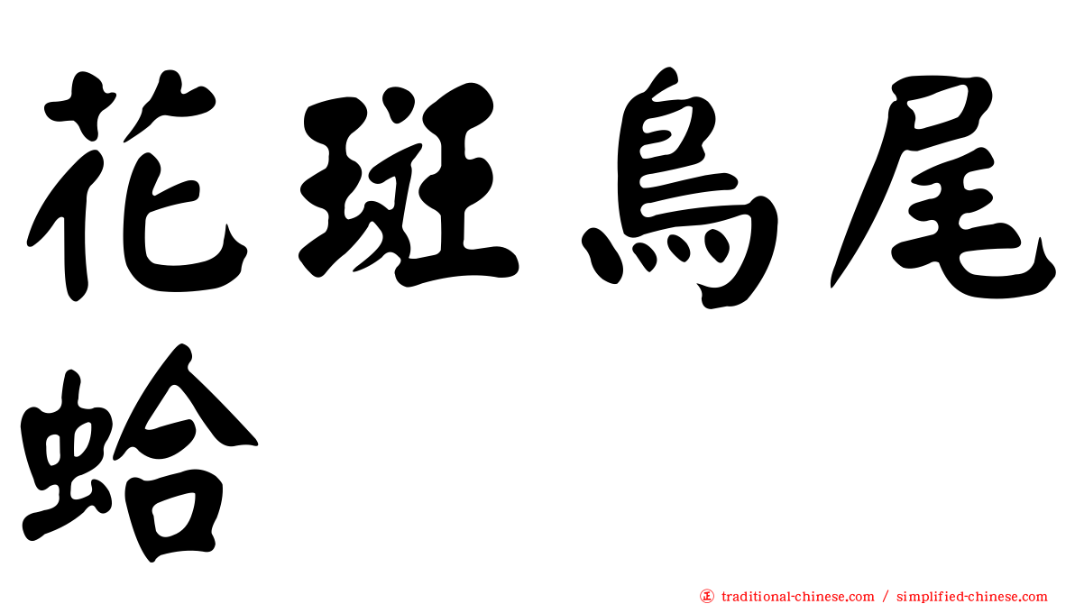 花斑鳥尾蛤
