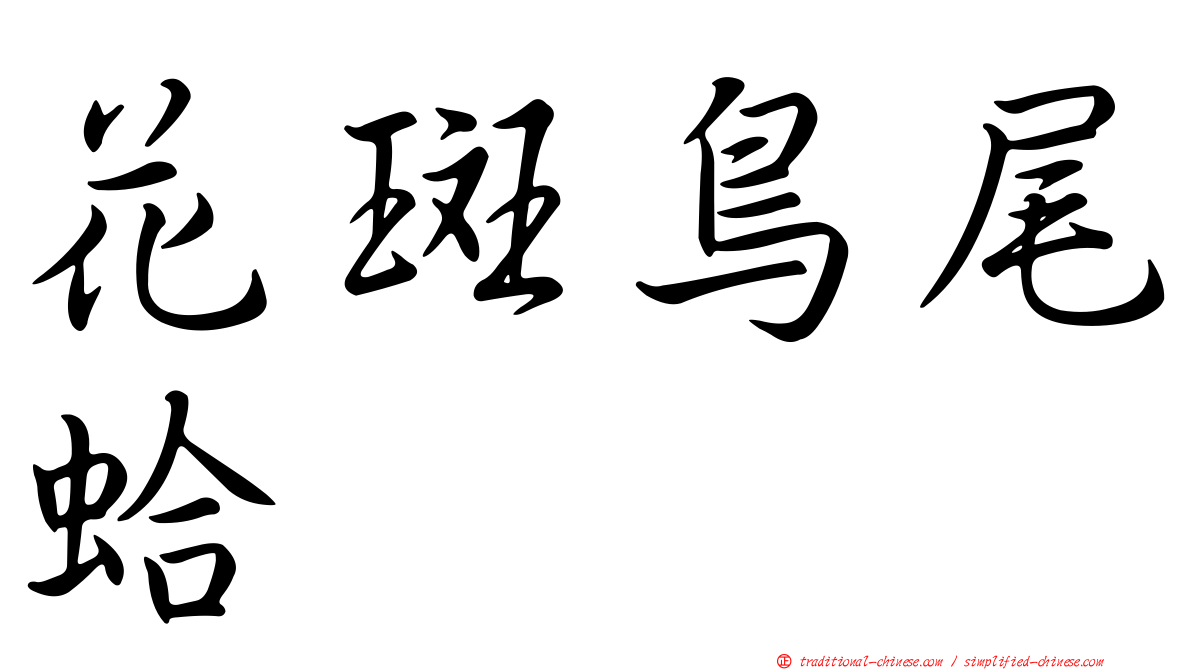 花斑鳥尾蛤