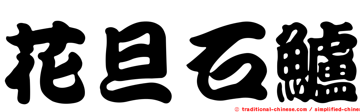 花旦石鱸