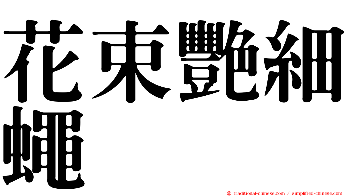 花束艷細蠅