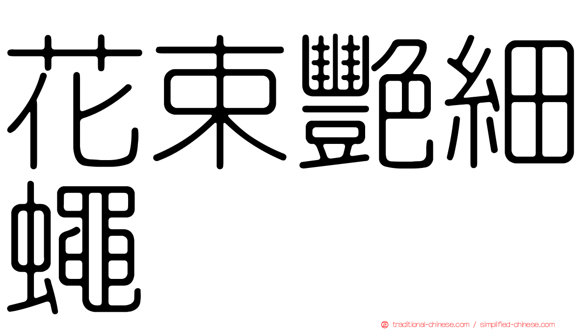 花束艷細蠅
