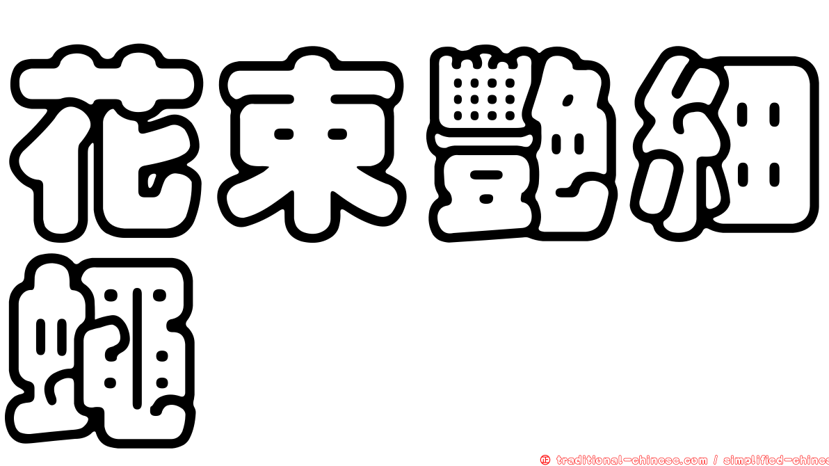 花束艷細蠅