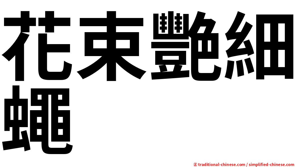 花束艷細蠅