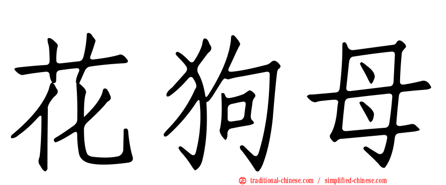 花狗母