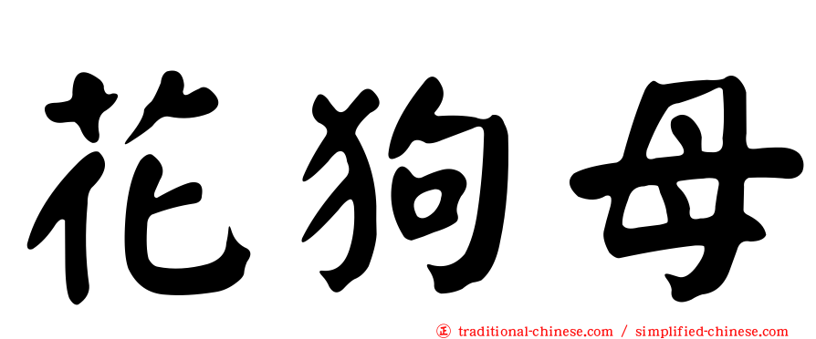 花狗母