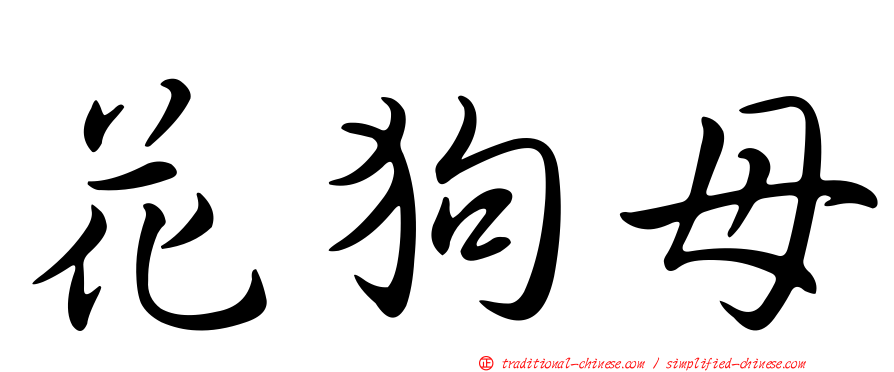 花狗母