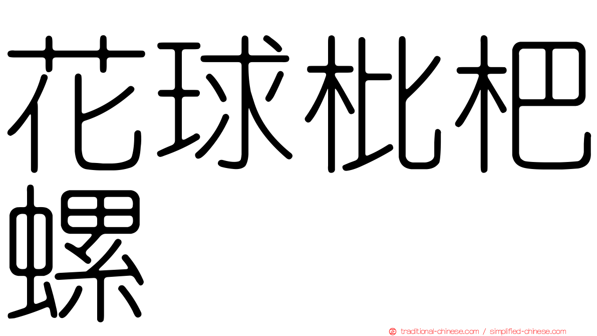 花球枇杷螺