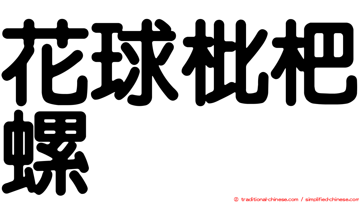 花球枇杷螺