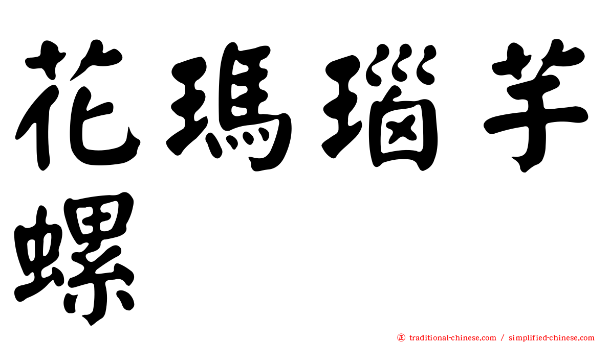 花瑪瑙芋螺