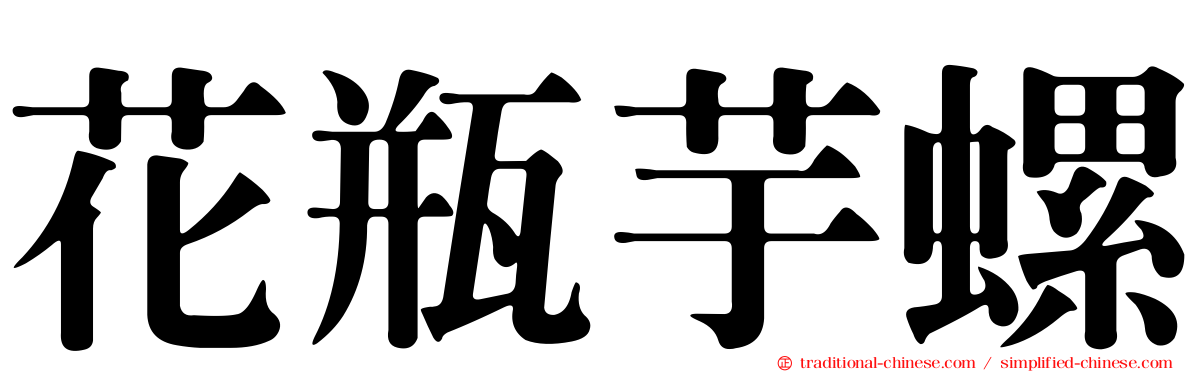 花瓶芋螺