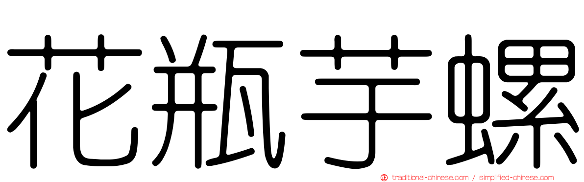 花瓶芋螺