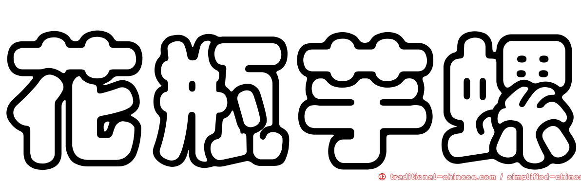 花瓶芋螺
