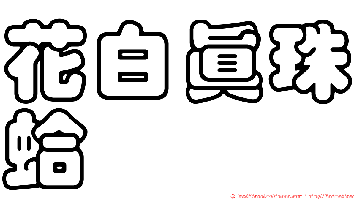 花白真珠蛤