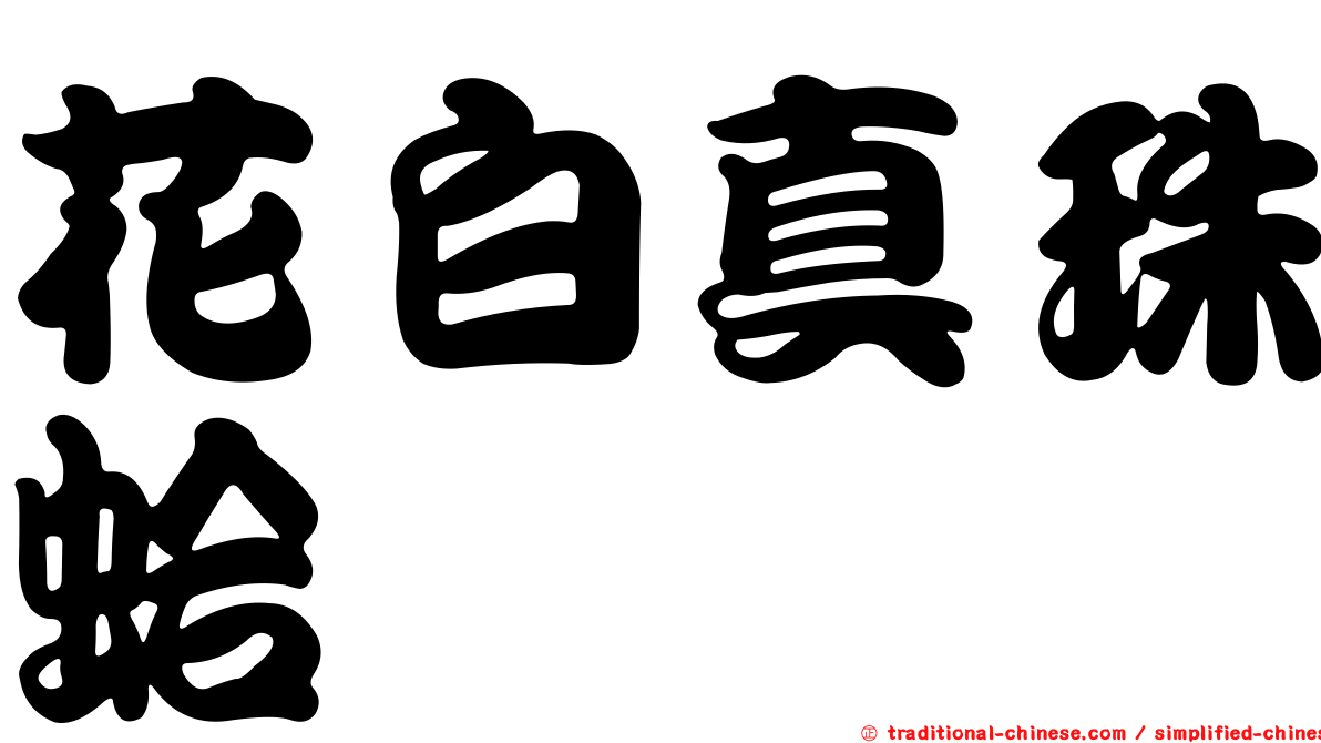 花白真珠蛤