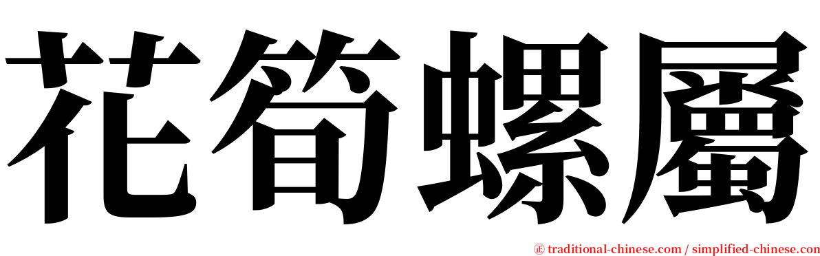 花筍螺屬 serif font