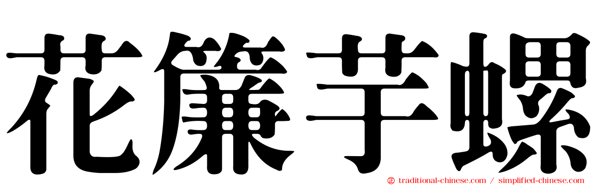花簾芋螺