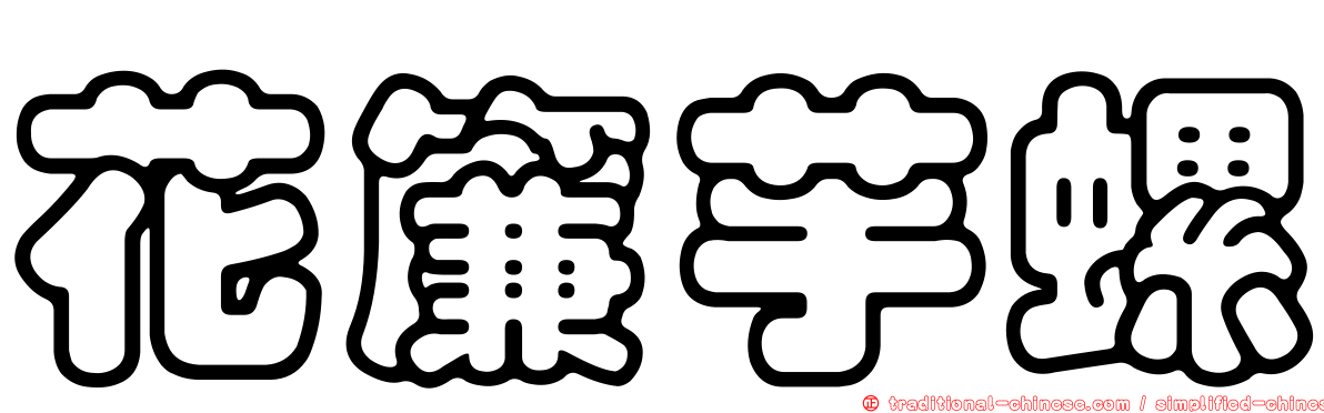 花簾芋螺