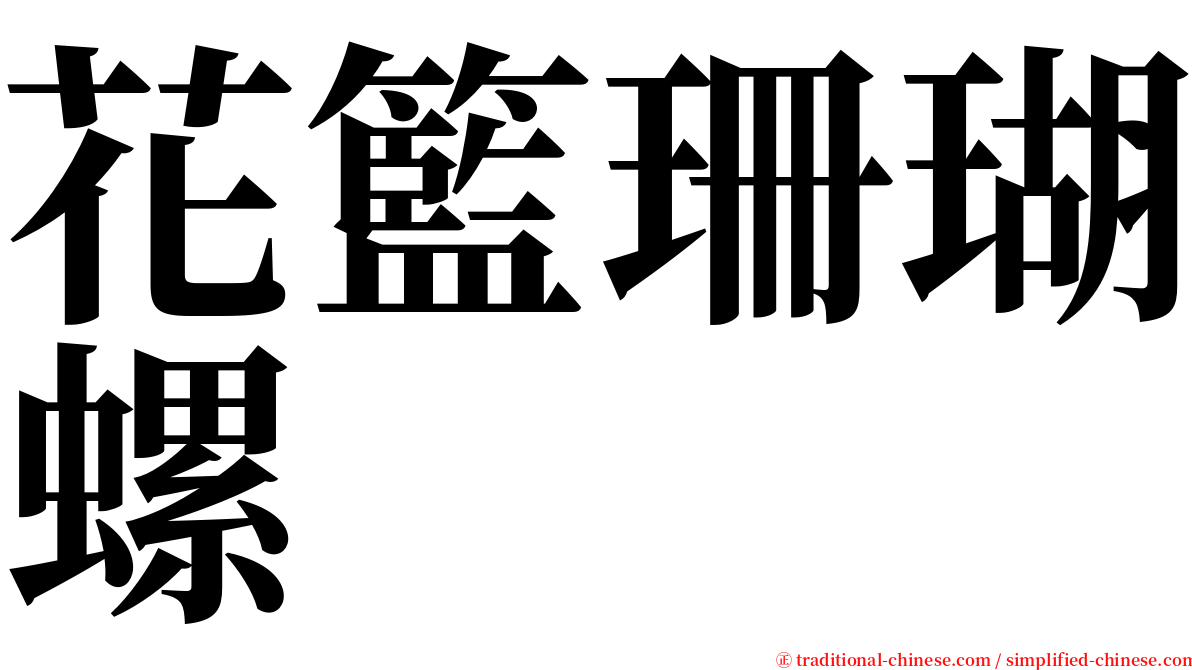 花籃珊瑚螺 serif font