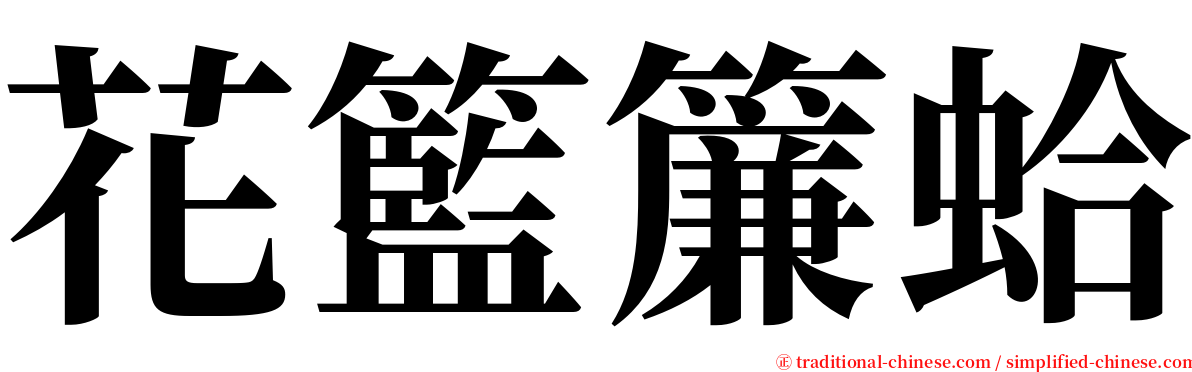 花籃簾蛤 serif font