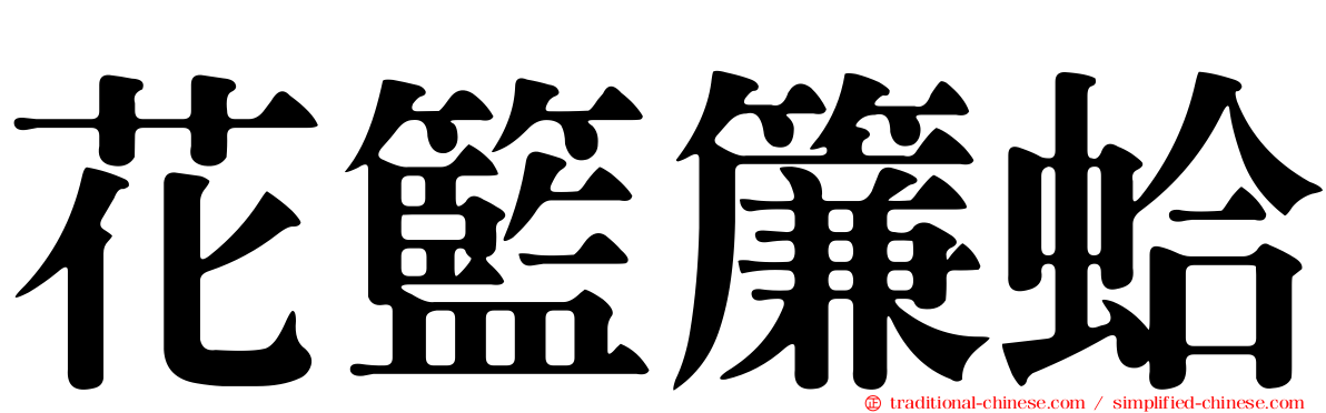 花籃簾蛤