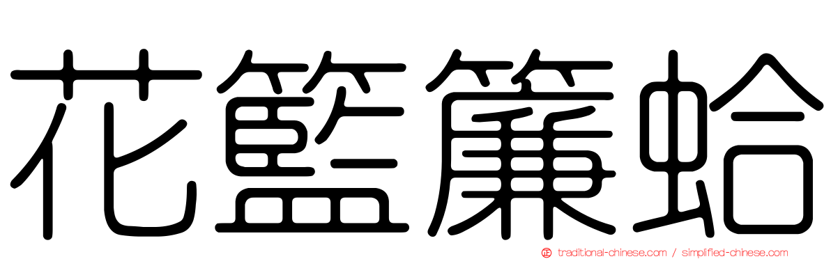 花籃簾蛤
