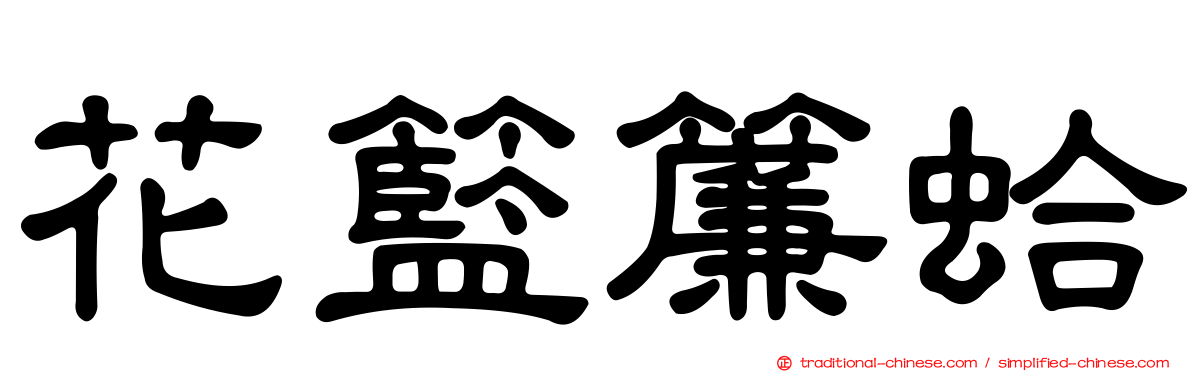 花籃簾蛤
