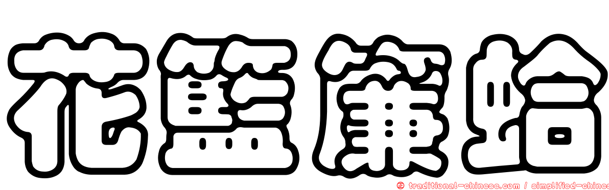 花籃簾蛤