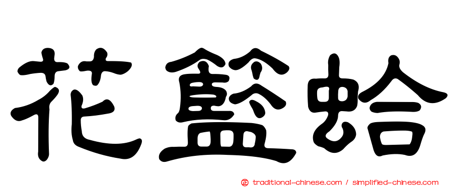 花籃蛤
